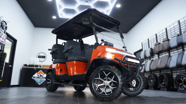 2025 Denago EV Rover