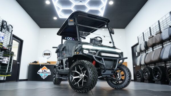 2025 Denago EV Rover